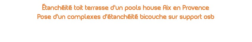 Étanchéité toit terrasse d'un pools house Aix en Provence Pose d'un complexes d'étanchéité bicouche sur support osb 